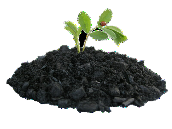 Biochar Composterra